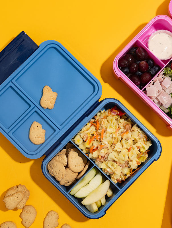 Day Packer Lunch Container