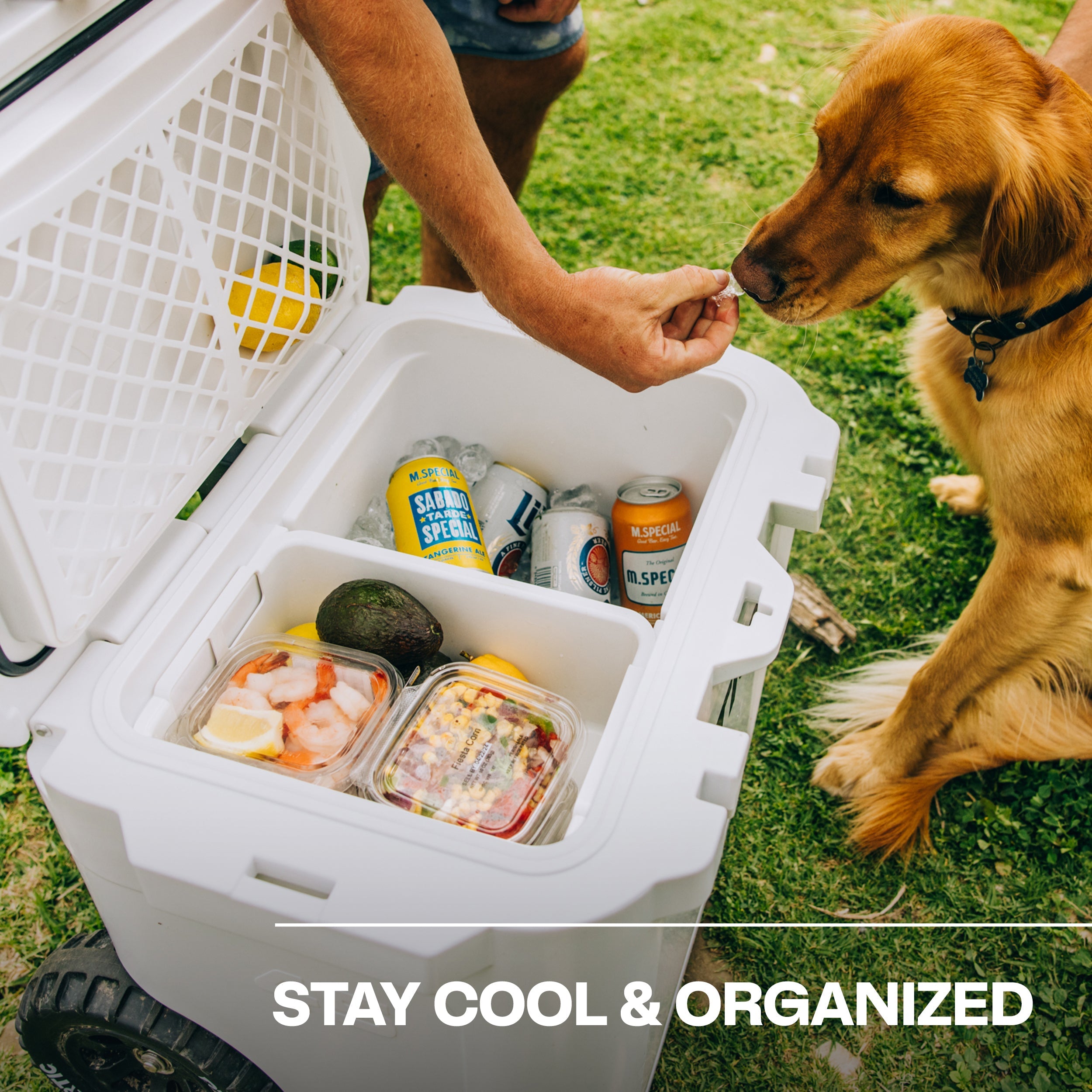 45 QT Ultra-Tough Wheeled Cooler